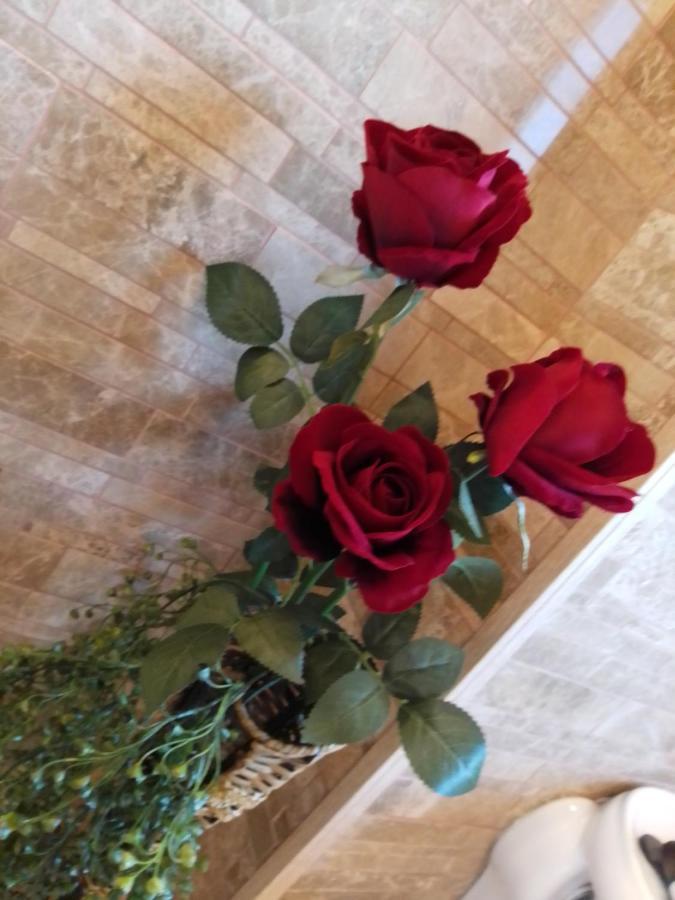 Готель Casa Maria Roses Ришнов Екстер'єр фото